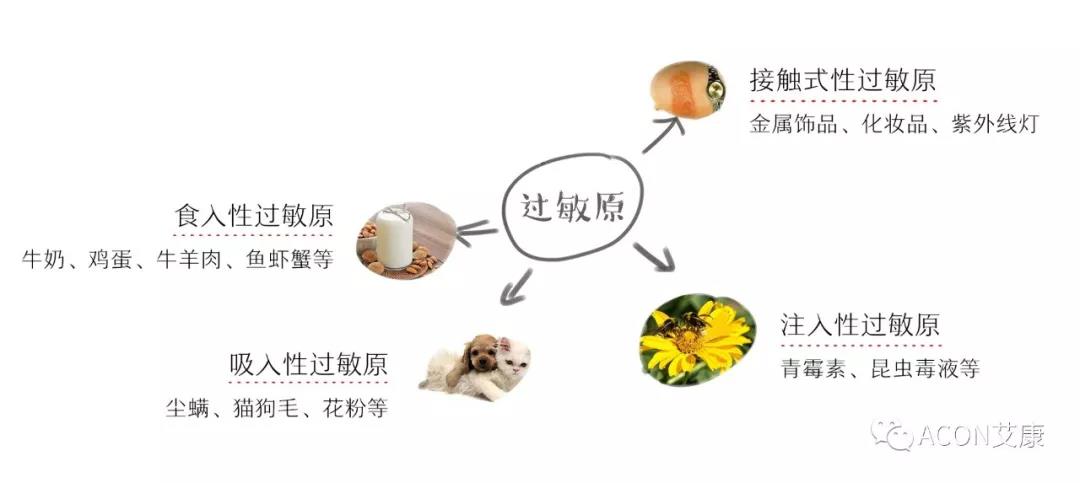 APAAACI 2019 | 深入解讀過敏原：從診斷到治療，優(yōu)化過敏原診斷管理——艾康生物過敏原檢測分會